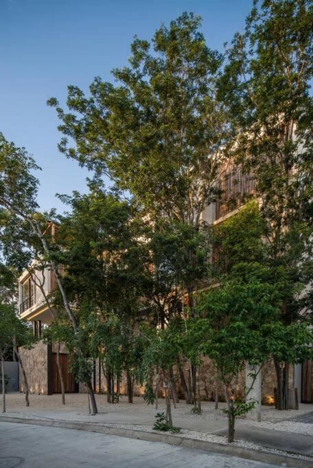 Beyond Amazing 3Bd 2Br/ Balcony Apartment ตูลุม ภายนอก รูปภาพ